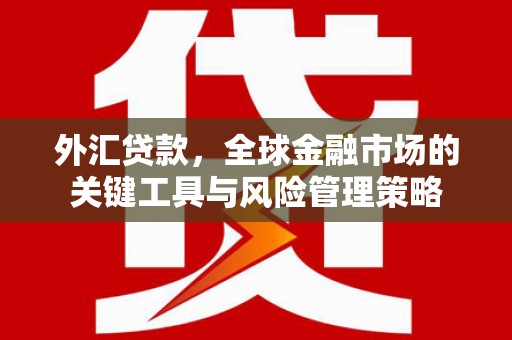 岳塘外汇贷款，全球金融市场的关键工具与风险管理策略