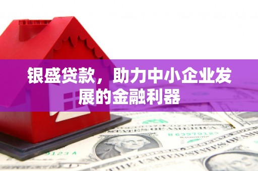 岳塘银盛贷款，助力中小企业发展的金融利器