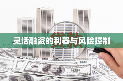 岳塘灵活融资的利器与风险控制