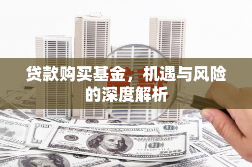 岳塘贷款购买基金，机遇与风险的深度解析