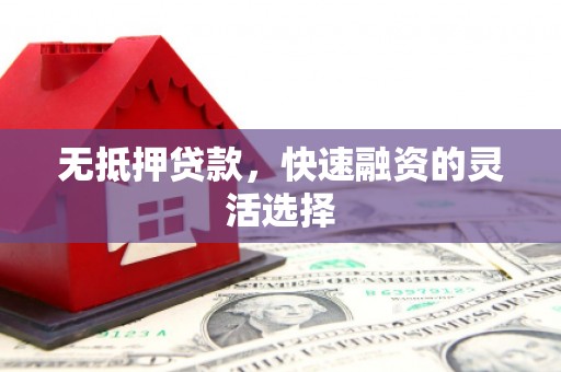 岳塘无抵押贷款，快速融资的灵活选择
