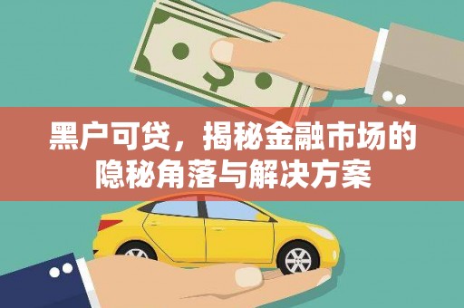 岳塘黑户可贷，揭秘金融市场的隐秘角落与解决方案