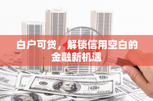 岳塘白户可贷，解锁信用空白的金融新机遇