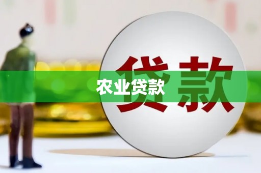 岳塘农业贷款