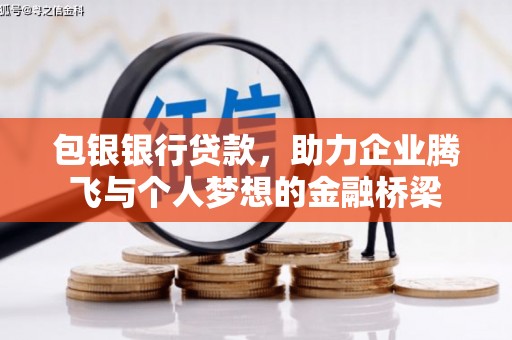 岳塘包银银行贷款，助力企业腾飞与个人梦想的金融桥梁