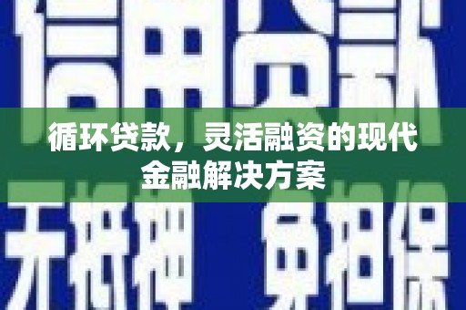 岳塘循环贷款，灵活融资的现代金融解决方案