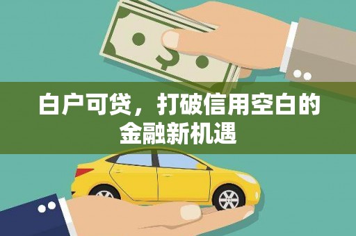 岳塘白户可贷，打破信用空白的金融新机遇