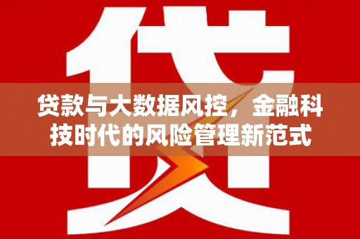 岳塘贷款与大数据风控，金融科技时代的风险管理新范式