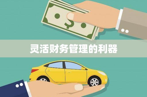 岳塘灵活财务管理的利器