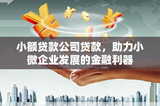 岳塘小额贷款公司贷款，助力小微企业发展的金融利器