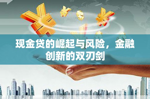 岳塘现金贷的崛起与风险，金融创新的双刃剑