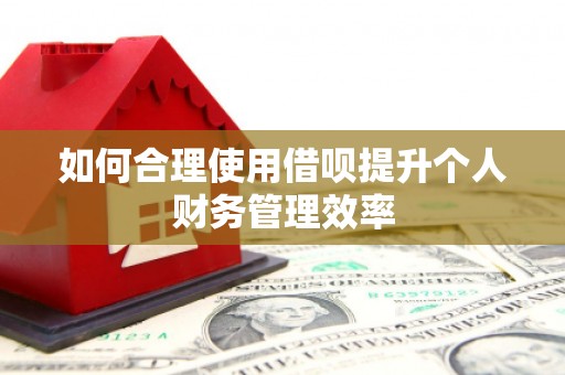岳塘如何合理使用借呗提升个人财务管理效率