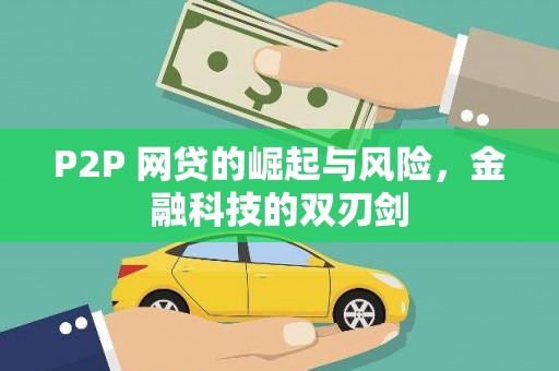 岳塘P2P 网贷的崛起与风险，金融科技的双刃剑