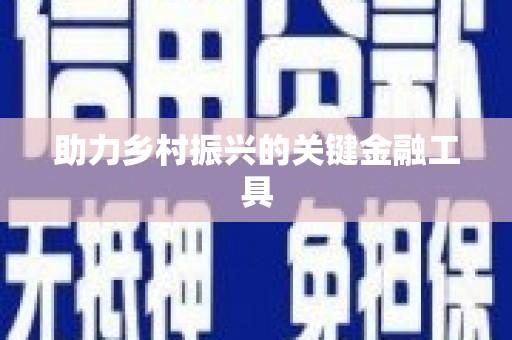 岳塘助力乡村振兴的关键金融工具