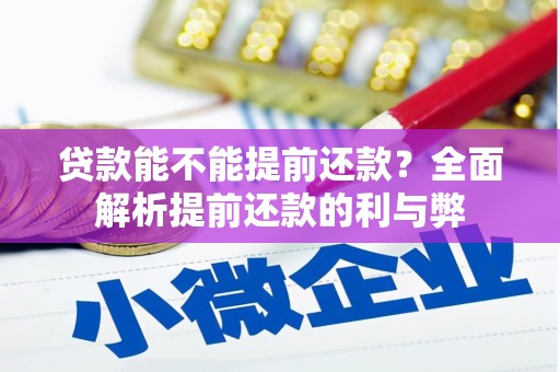 岳塘贷款能不能提前还款？全面解析提前还款的利与弊