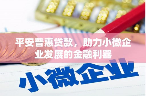 岳塘平安普惠贷款，助力小微企业发展的金融利器