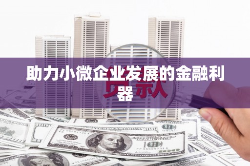 岳塘助力小微企业发展的金融利器