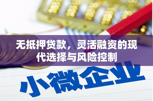 岳塘无抵押贷款，灵活融资的现代选择与风险控制