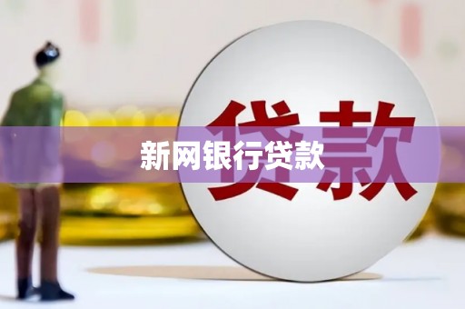 岳塘新网银行贷款