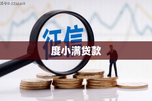 岳塘度小满贷款