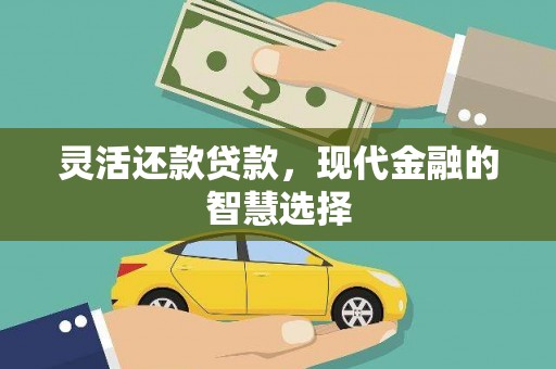 岳塘灵活还款贷款，现代金融的智慧选择