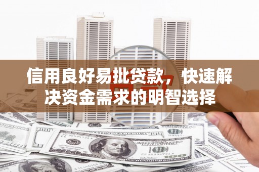 岳塘信用良好易批贷款，快速解决资金需求的明智选择