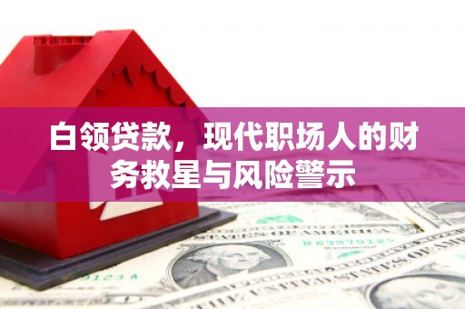岳塘白领贷款，现代职场人的财务救星与风险警示