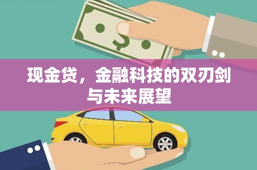 岳塘现金贷，金融科技的双刃剑与未来展望