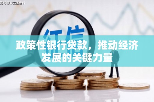 岳塘政策性银行贷款，推动经济发展的关键力量