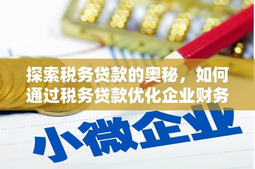 岳塘探索税务贷款的奥秘，如何通过税务贷款优化企业财务