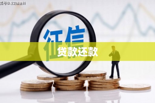 岳塘贷款还款