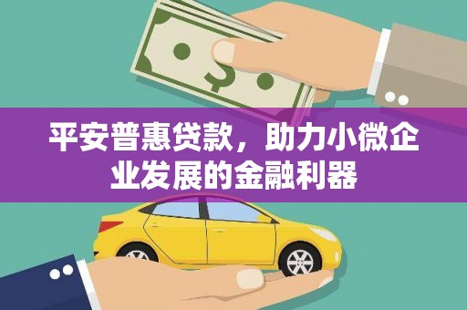 岳塘平安普惠贷款，助力小微企业发展的金融利器
