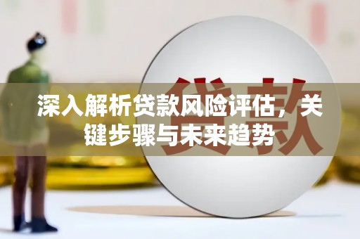 岳塘深入解析贷款风险评估，关键步骤与未来趋势
