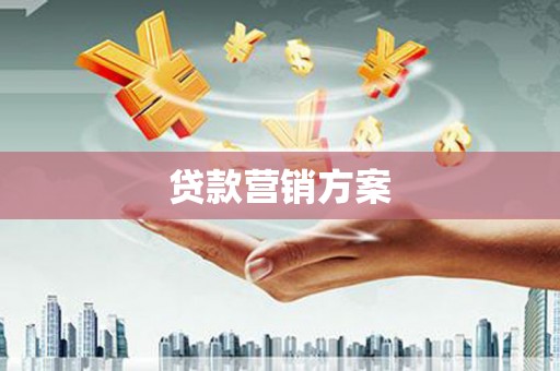 岳塘贷款营销方案