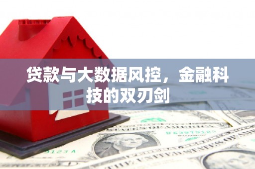 岳塘贷款与大数据风控，金融科技的双刃剑