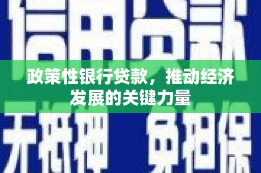 岳塘政策性银行贷款，推动经济发展的关键力量