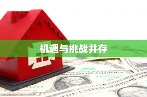 岳塘机遇与挑战并存