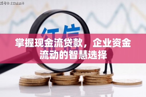 岳塘掌握现金流贷款，企业资金流动的智慧选择