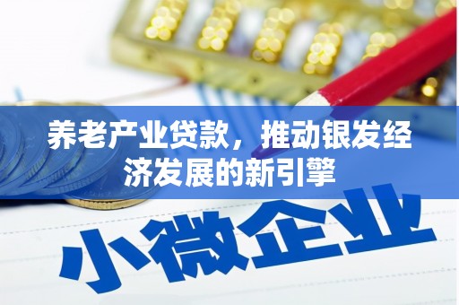 岳塘养老产业贷款，推动银发经济发展的新引擎