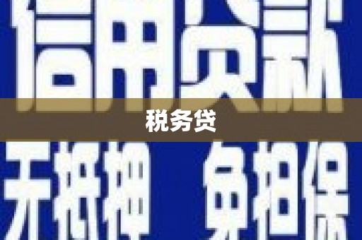 岳塘税务贷