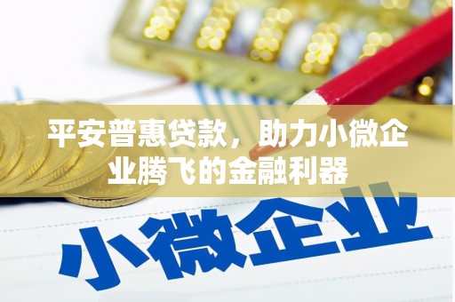 岳塘平安普惠贷款，助力小微企业腾飞的金融利器