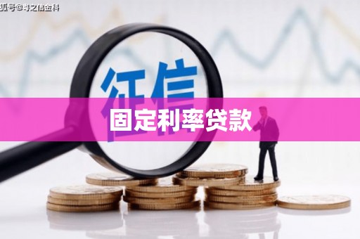 岳塘固定利率贷款