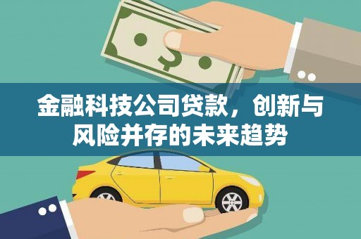 岳塘金融科技公司贷款，创新与风险并存的未来趋势