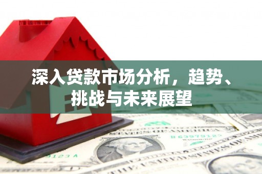 岳塘深入贷款市场分析，趋势、挑战与未来展望