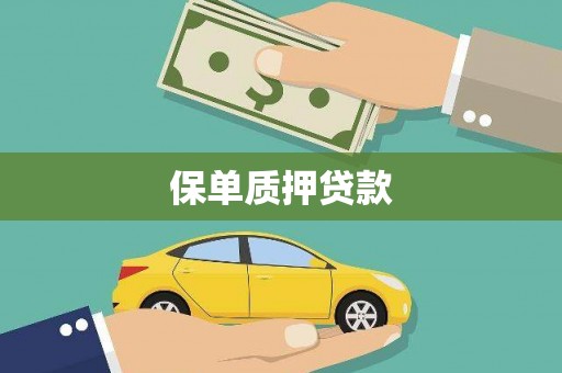 岳塘保单质押贷款