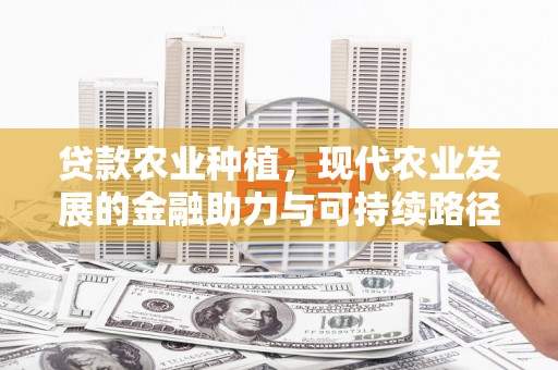 岳塘贷款农业种植，现代农业发展的金融助力与可持续路径