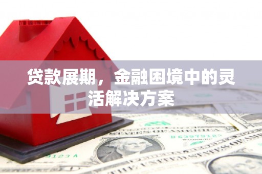 岳塘贷款展期，金融困境中的灵活解决方案