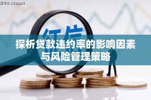岳塘探析贷款违约率的影响因素与风险管理策略