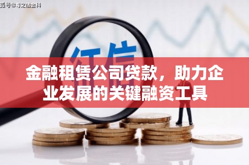 岳塘金融租赁公司贷款，助力企业发展的关键融资工具