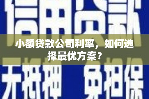 岳塘小额贷款公司利率，如何选择最优方案？